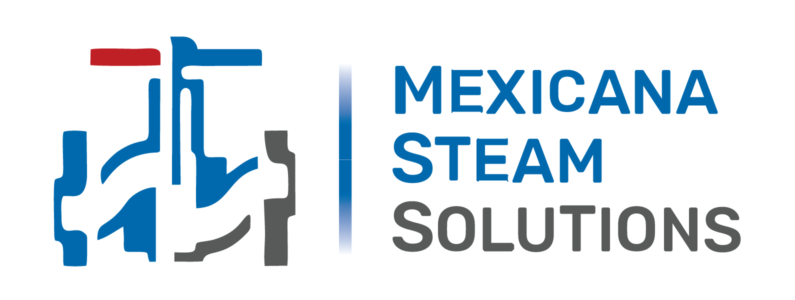 Mexicana Steam Smart